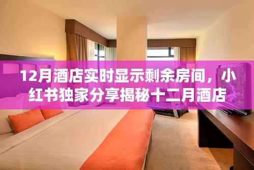 揭秘十二月酒店实时房态显示秘籍，小红书独家分享，轻松预订心仪住宿！
