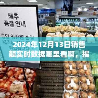 揭秘2024年销售额实时数据获取渠道,掌握商业脉搏的必备指南