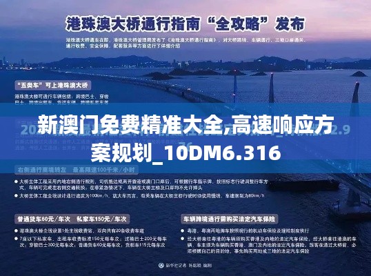 新澳门免费精准大全,高速响应方案规划_10DM6.316