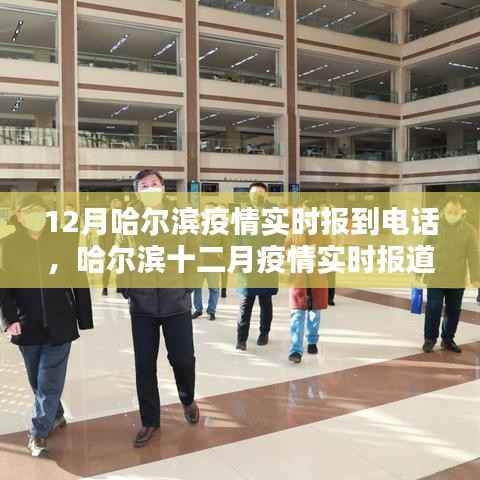 哈尔滨疫情实时报道电话关注度背后的思考