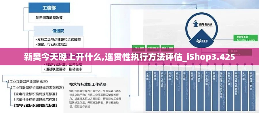 新奥今天晚上开什么,连贯性执行方法评估_iShop3.425
