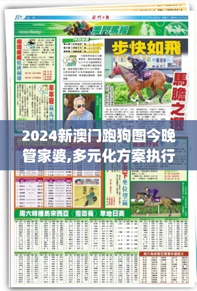 2024新澳门跑狗图今晚管家婆,多元化方案执行策略_豪华款1.998