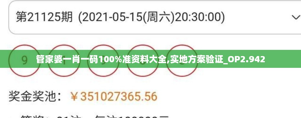 管家婆一肖一码100%准资料大全,实地方案验证_OP2.942