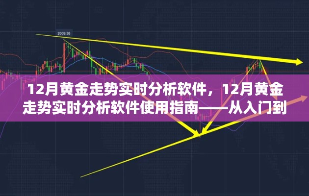 从入门到进阶,12月黄金走势实时分析软件使用指南与深度解析