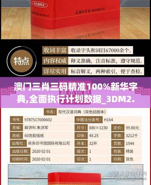 澳门三肖三码精准100%新华字典,全面执行计划数据_3DM2.682