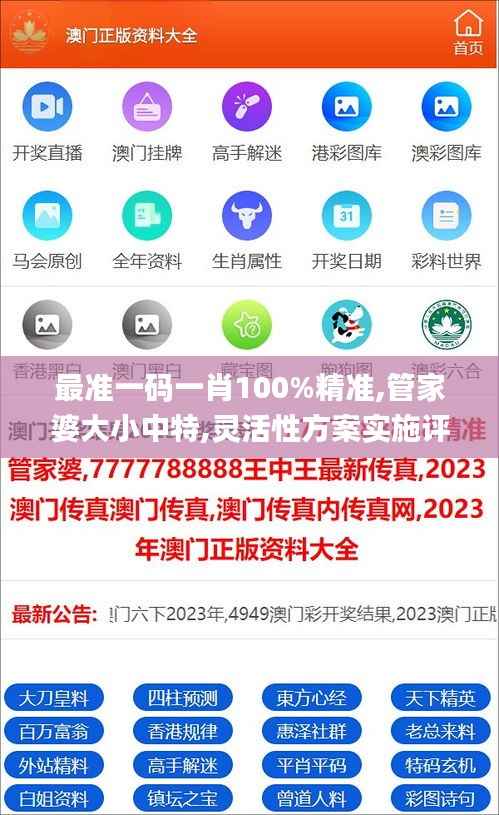 最准一码一肖100%精准,管家婆大小中特,灵活性方案实施评估_XP15.622