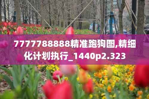 7777788888精准跑狗图,精细化计划执行_1440p2.323