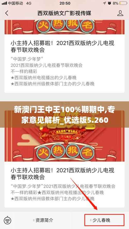 新澳门王中王100%期期中,专家意见解析_优选版5.260