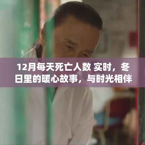 冬日暖心故事,实时关注12月每日死亡人数,陪伴时光,温暖不再孤独