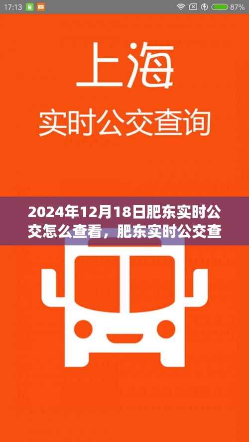 肥东实时公交查询指南,如何查看2024年12月18日肥东实时公交信息及操作指南