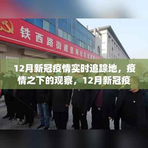 深度解析,12月新冠疫情实时追踪地,疫情之下的观察与追踪