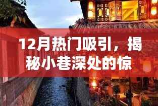 十二月小巷深处的惊喜宝藏，隐藏版特色小店揭秘