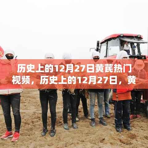 揭秘历史上黄芪热门视频,探寻十二月二十七日的秘密时刻