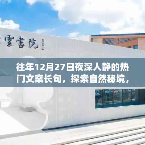 探索自然秘境,深夜星空下的心灵之旅,寻找内心的宁静与宁静的夜对话