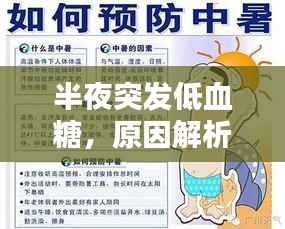 半夜突发低血糖,原因解析、应对方法与预防策略