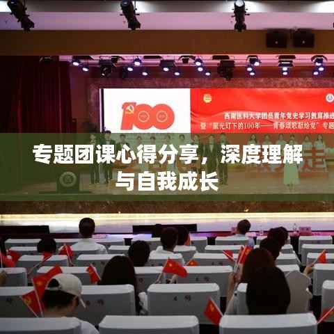专题团课心得分享,深度理解与自我成长