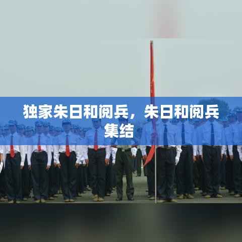 独家朱日和阅兵,朱日和阅兵集结