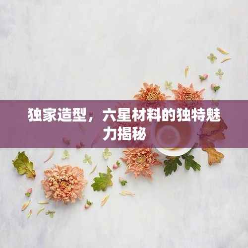 独家造型,六星材料的独特魅力揭秘