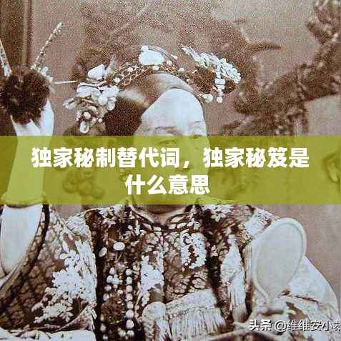 独家秘制替代词,独家秘笈是什么意思