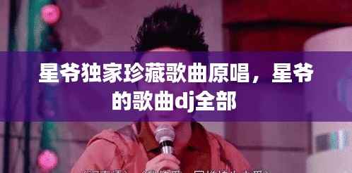 星爷独家珍藏歌曲原唱,星爷的歌曲dj全部