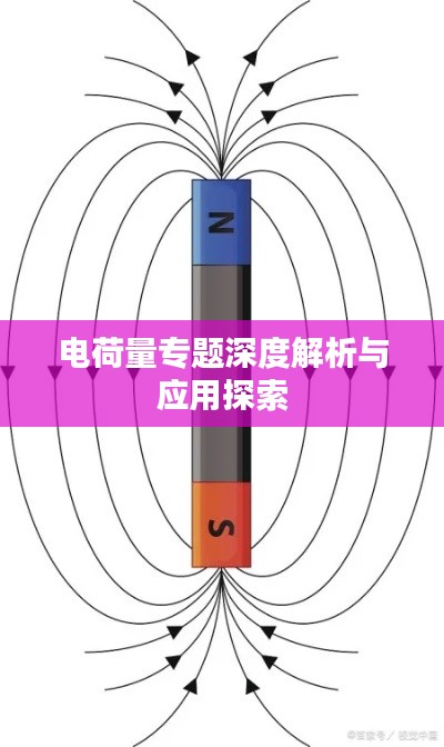 电荷量专题深度解析与应用探索