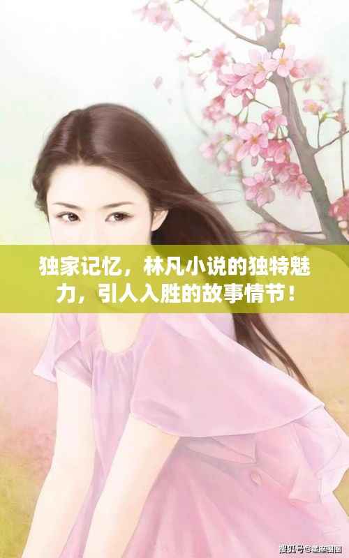 独家记忆，林凡小说的独特魅力，引人入胜的故事情节！