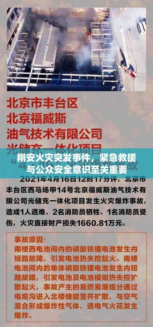 小鸟伊人