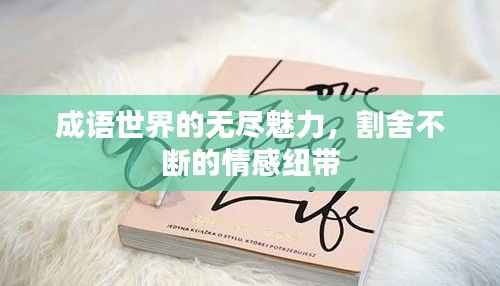 成语世界的无尽魅力,割舍不断的情感纽带