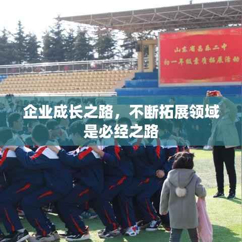 企业成长之路,不断拓展领域是必经之路