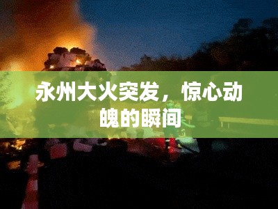 诚心诚意 第4页