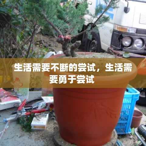 生活需要不断的尝试,生活需要勇于尝试