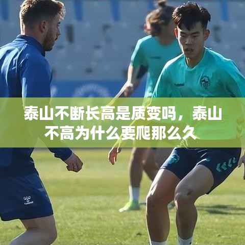 莺声燕语