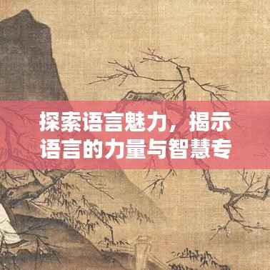 探索语言魅力,揭示语言的力量与智慧专题