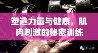 塑造力量与健康,肌肉刺激的秘密训练法
