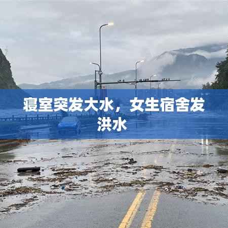 臼灶生蛙 第3页