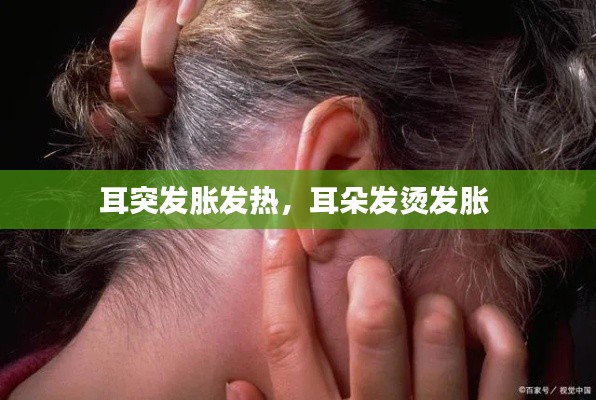 蛙鸣蝉噪 第4页