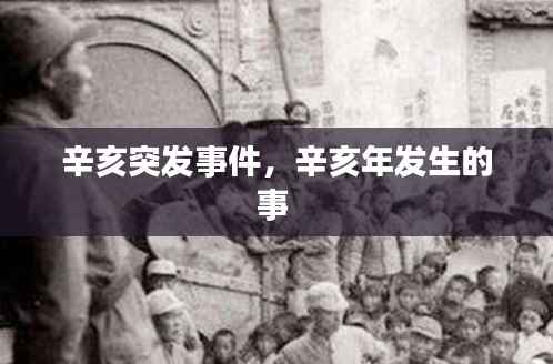 辛亥突发事件,辛亥年发生的事