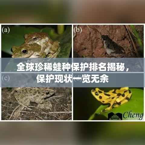 全球珍稀蛙种保护排名揭秘,保护现状一览无余