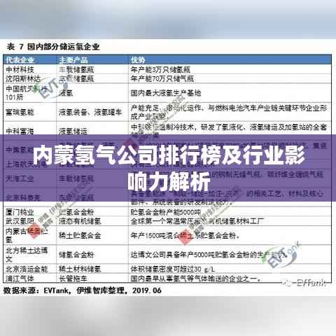 内蒙氢气公司排行榜及行业影响力解析