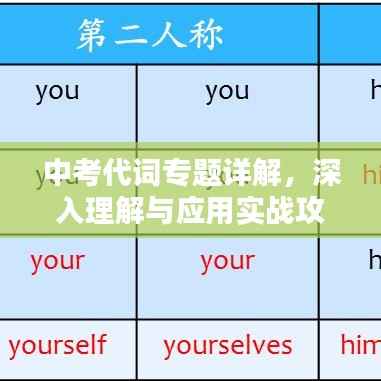 中考代词专题详解,深入理解与应用实战攻略