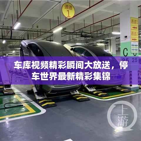 车库视频精彩瞬间大放送,停车世界最新精彩集锦