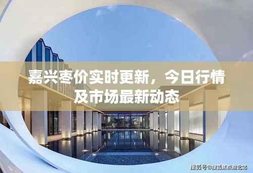 嘉兴枣价实时更新,今日行情及市场最新动态