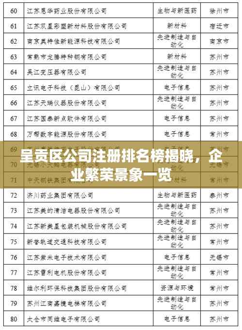 呈贡区公司注册排名榜揭晓,企业繁荣景象一览
