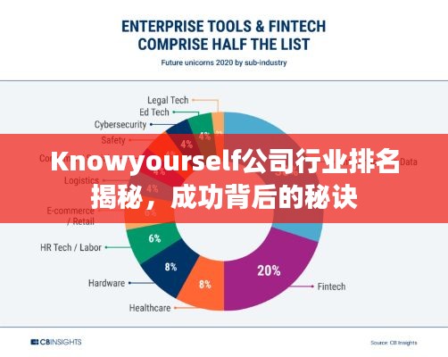 Knowyourself公司行业排名揭秘,成功背后的秘诀