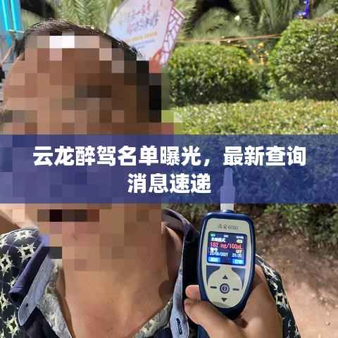 云龙醉驾名单曝光,最新查询消息速递