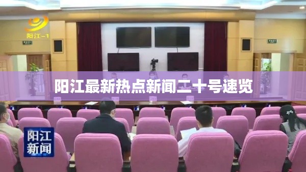 阳江最新热点新闻二十号速览