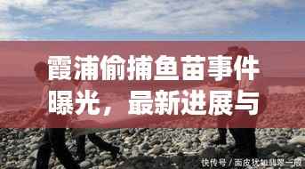 霞浦偷捕鱼苗事件曝光,最新进展与细节揭秘
