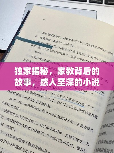 独家揭秘,家教背后的故事,感人至深的小说阅读