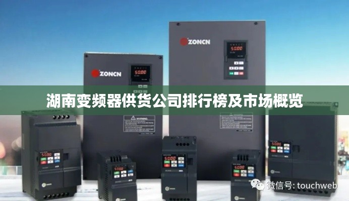 湖南变频器供货公司排行榜及市场概览