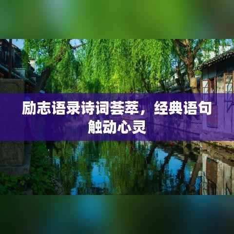 励志语录诗词荟萃,经典语句触动心灵